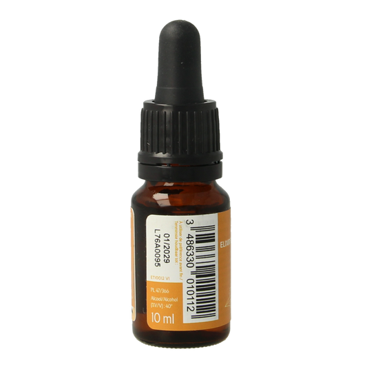 Ladrome Chicoree chicory bio 10 Milliliter