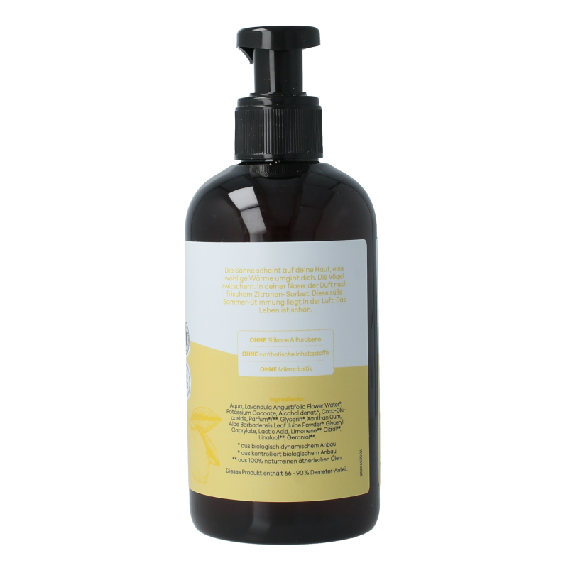 Baldini Handzeep citrus 250 Milliliter