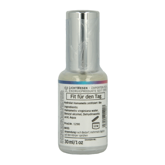 Lichtwesen Powertrain energie spray 30.00 Milliliter