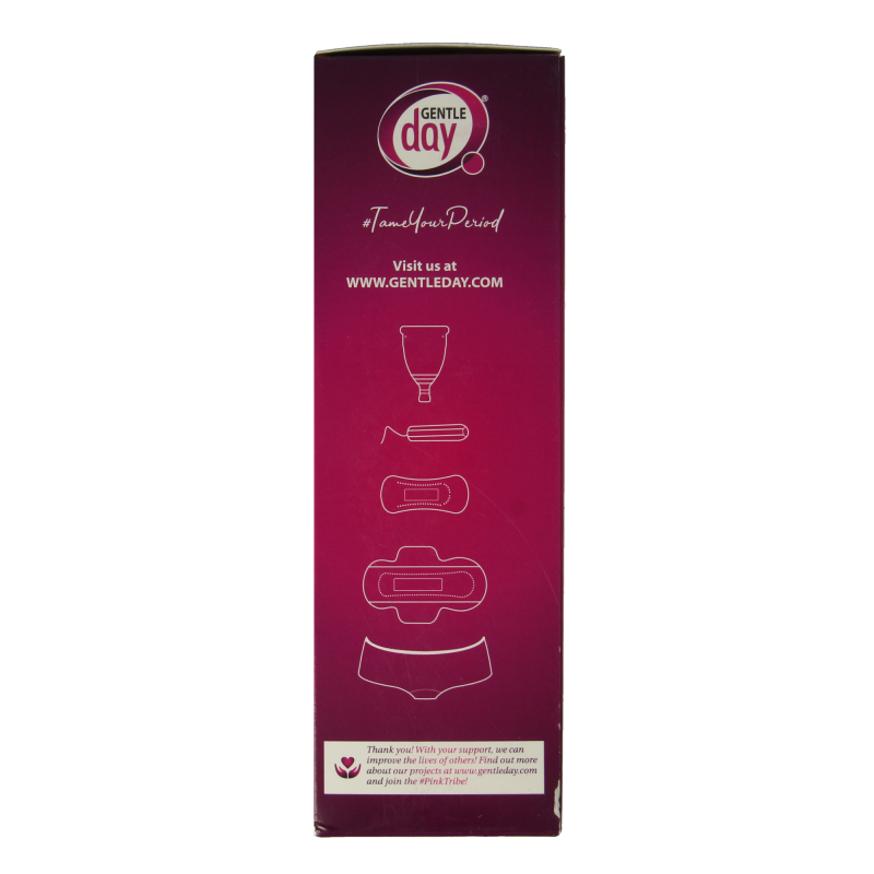 Gentle Day Intieme wasgel 250 Milliliter