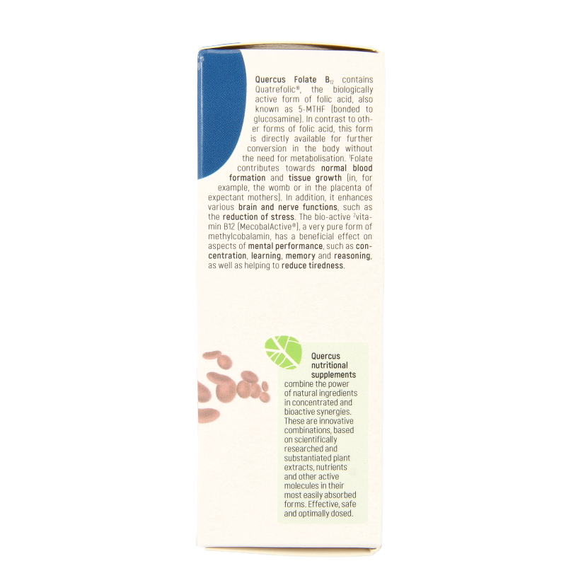 Quercus Folate B12 80 Tabletten