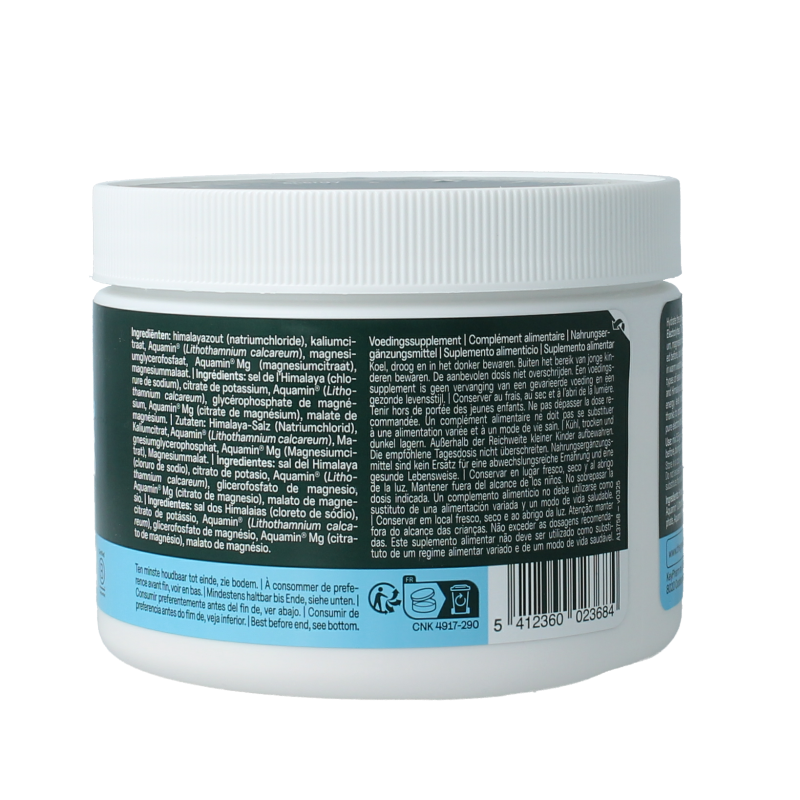 The Green Athlete Electrolytes pure 320 Gram