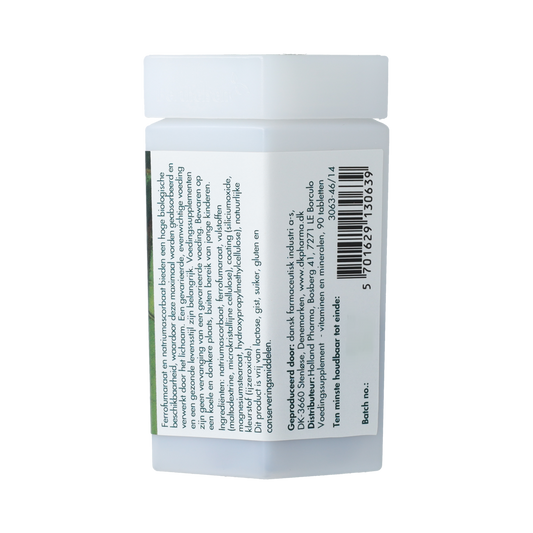 Berthelsen IJzer + vitamine C 90.00 Tabletten