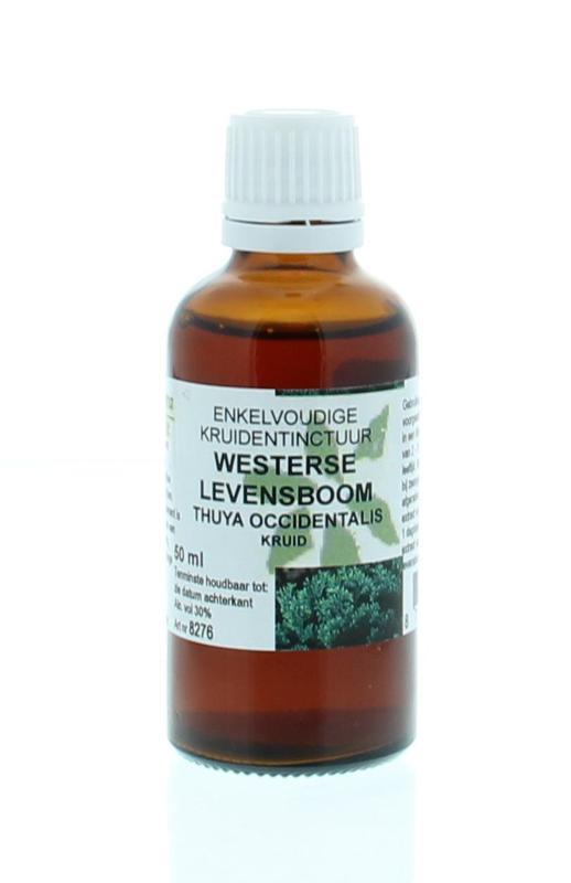 Cruydhof Thuja occidentalis / levensboom tinctuur 50 Milliliter