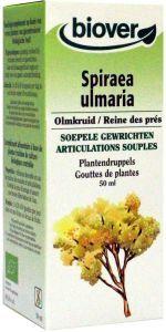 Biover Spiraea ulmaria bio 50 Milliliter