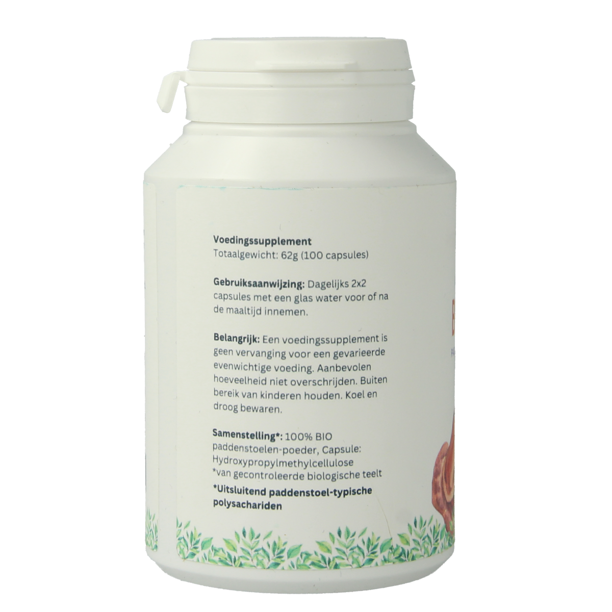 Mycopower Reishi bio 100.00 Capsules