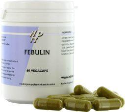 Holisan Febulin 60 Capsules