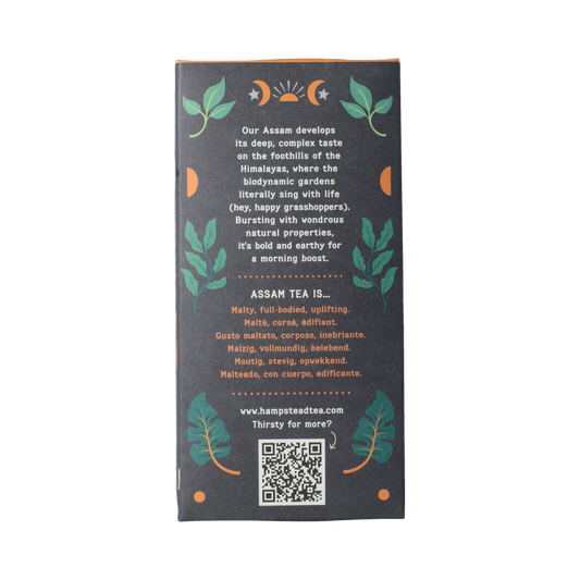 Hampstead Thee assam bio demeter 20.00 Zakjes