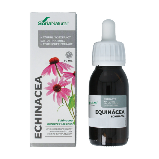 Soria Natural Echinacea purpurea XXI 50 Milliliter