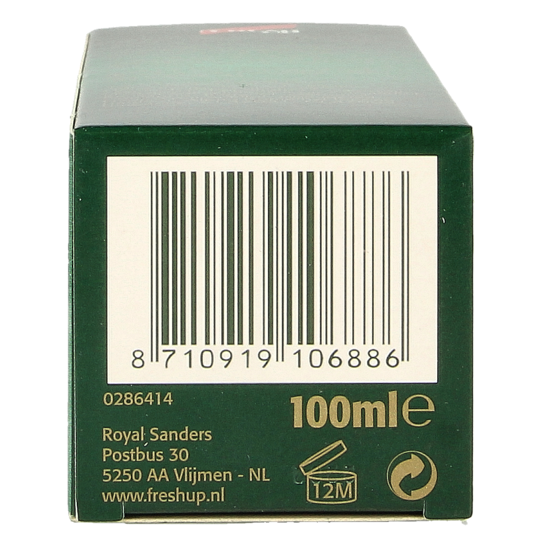 Fresh Up Original roller 100 Milliliter