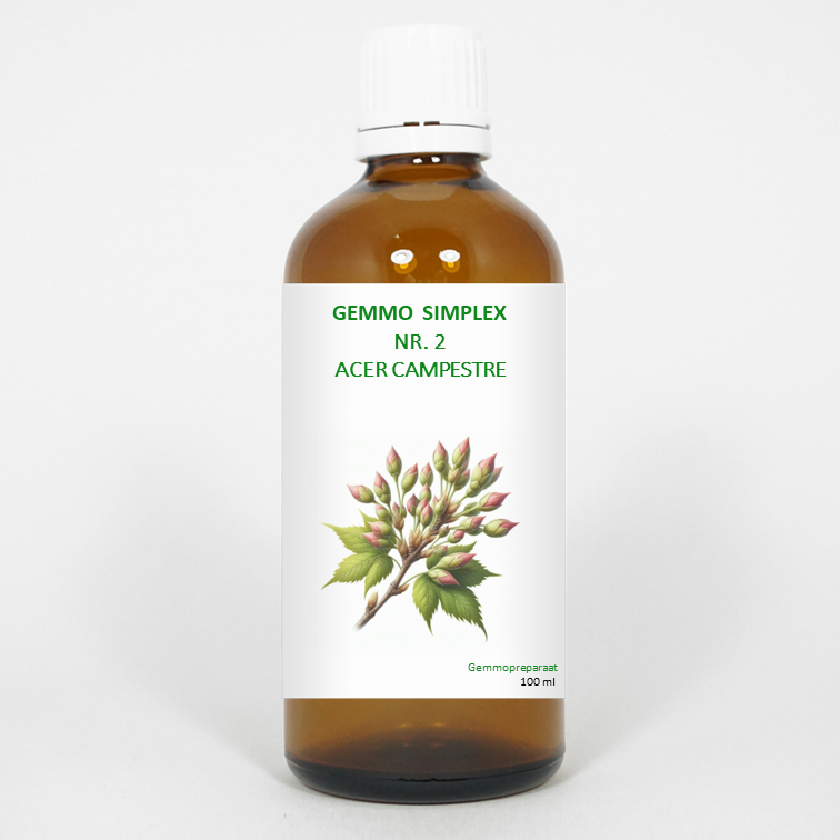 Balancepharma Gemmo simplex 2 acer campestre 100.00 Milliliter