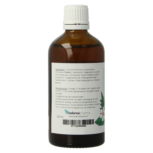 Balancepharma HGP040 Gemmoplex dieplymf 100.00 Milliliter