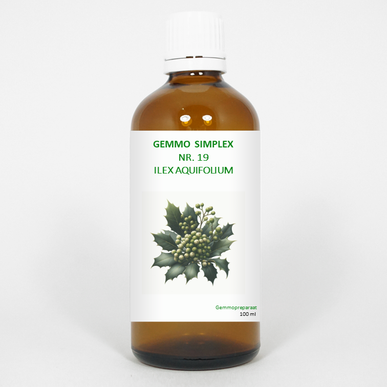 Balancepharma Gemmo simplex 19 ilex aquifolium 100 Milliliter