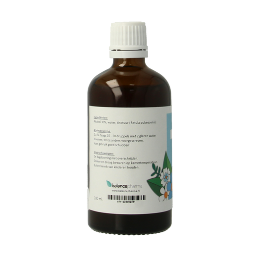 Balancepharma Betula pubescens tincturen 100.00 Milliliter
