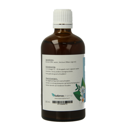 Balancepharma Ribes nigrum tincturen 100.00 Milliliter