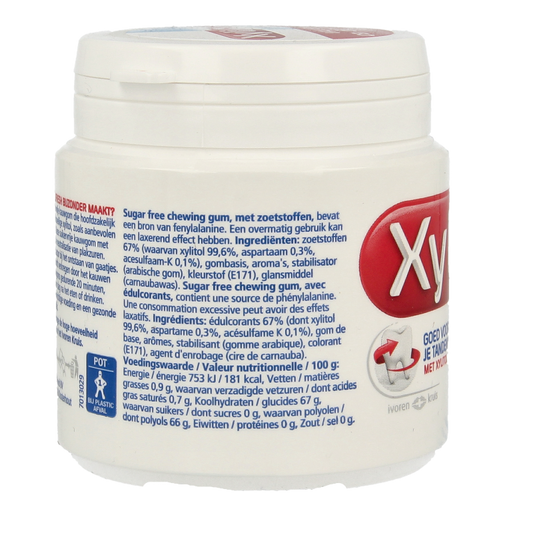 Xylifresh Peppermint 93 Gram