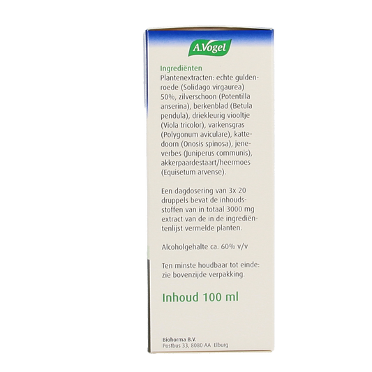 A Vogel Solidago 100.00 Milliliter