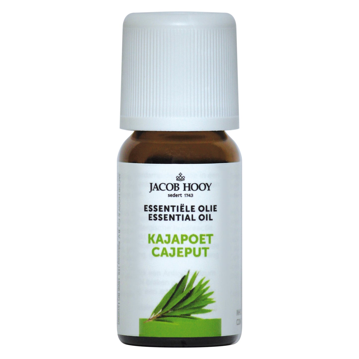 Jacob Hooy Kajapoet olie  10 Milliliter