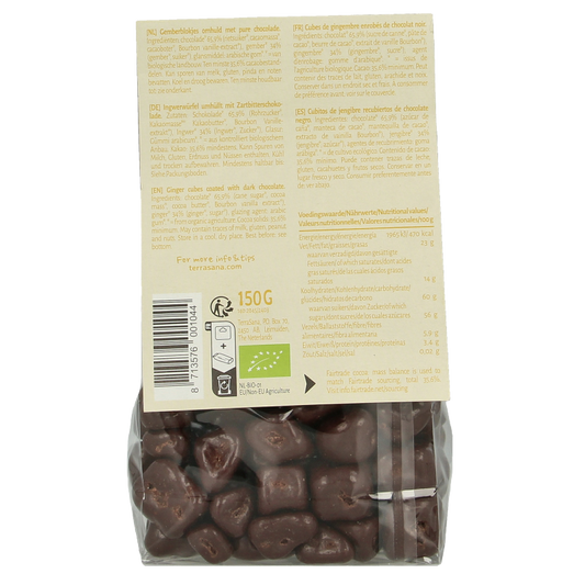 TerraSana Ginger pleasure choco bio 150 Gram