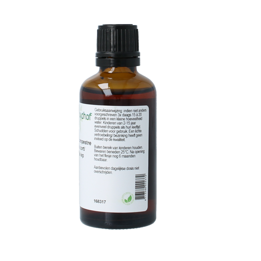 Cruydhof Ulmus campestre rubra / rode iep tinctuur 50.00 Milliliter