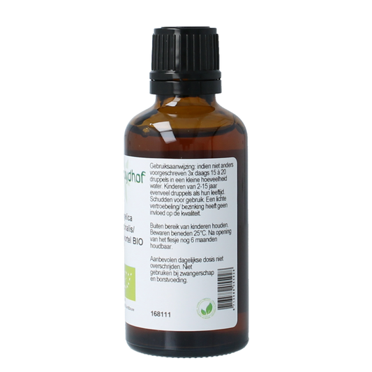 Cruydhof Angelica officinalis/engelwortel tinctuur bio 50.00 Milliliter