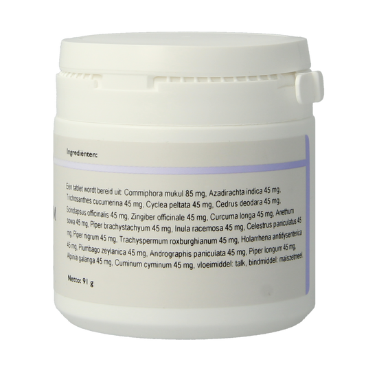 Holisan Gulukam 100.00 Tabletten