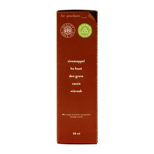 Chi Wintertime airspray 50.00 Milliliter