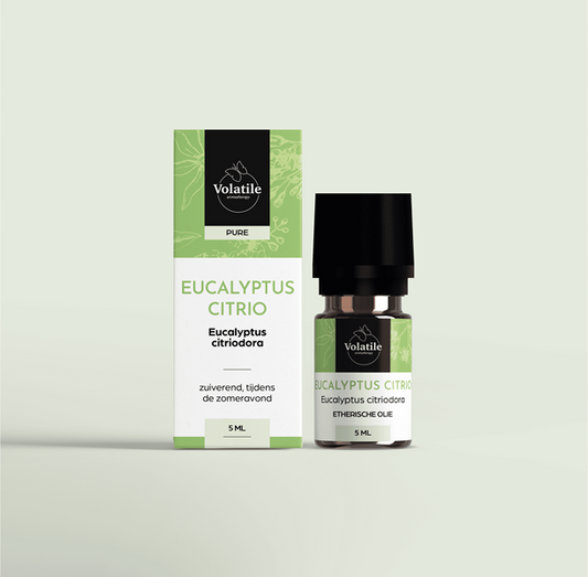 Volatile Eucalyptus citriodora 5 Milliliter