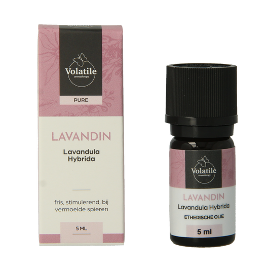 Volatile Lavandin 5 Milliliter