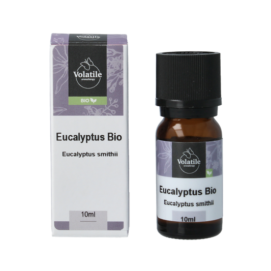 Volatile Eucalyptus smithii bio 10 Milliliter