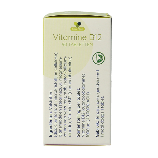 Spruyt Hillen Vitamine B12 1000 mcg 90.00 Tabletten