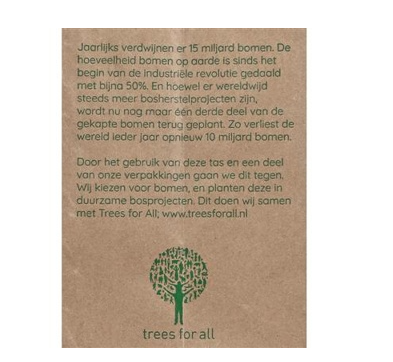 Spruyt Hillen DRAAGTAS ESCUPAC PAPIER BOOM 22X10X33CM 250.00 Stuks