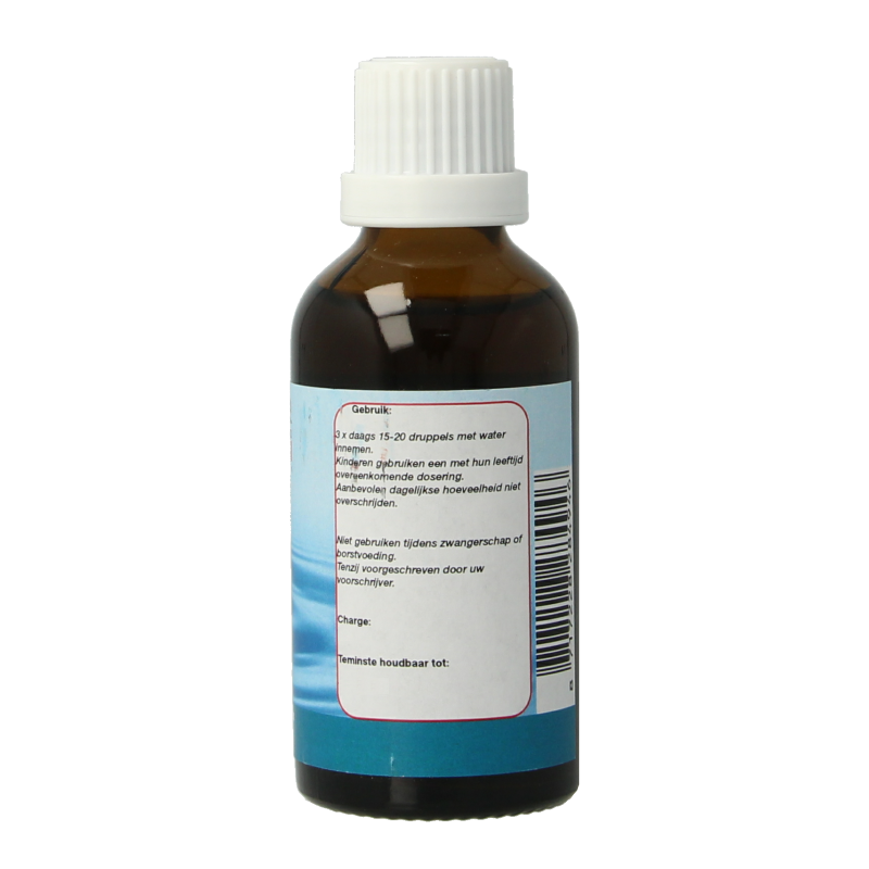 DNH Darmplex tinctuur 50 Milliliter