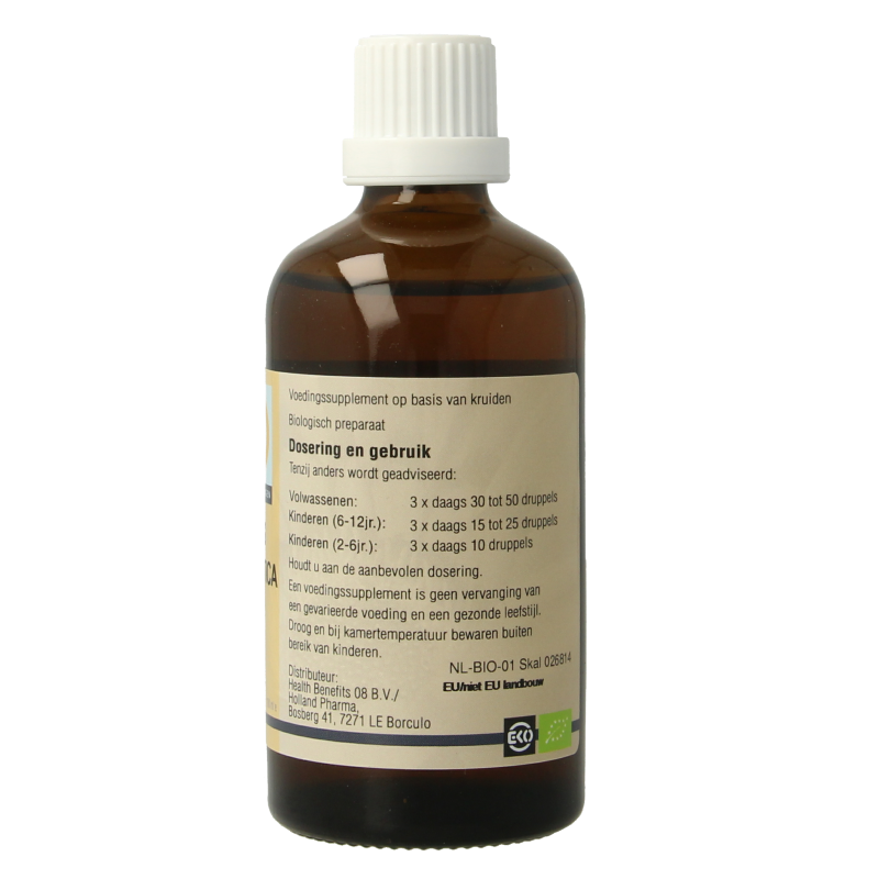 GO Sorbus domestica bio 100 Milliliter