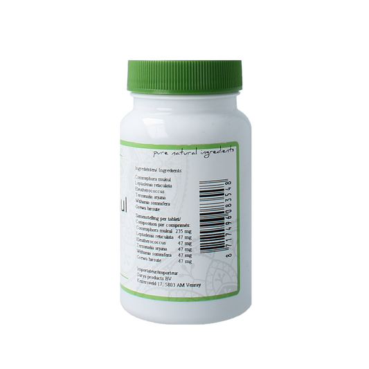 Surya Lakcha guggul 60.00 Tabletten