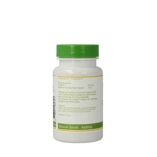 Elvitum Curcuma longa curqfen 60 Capsules