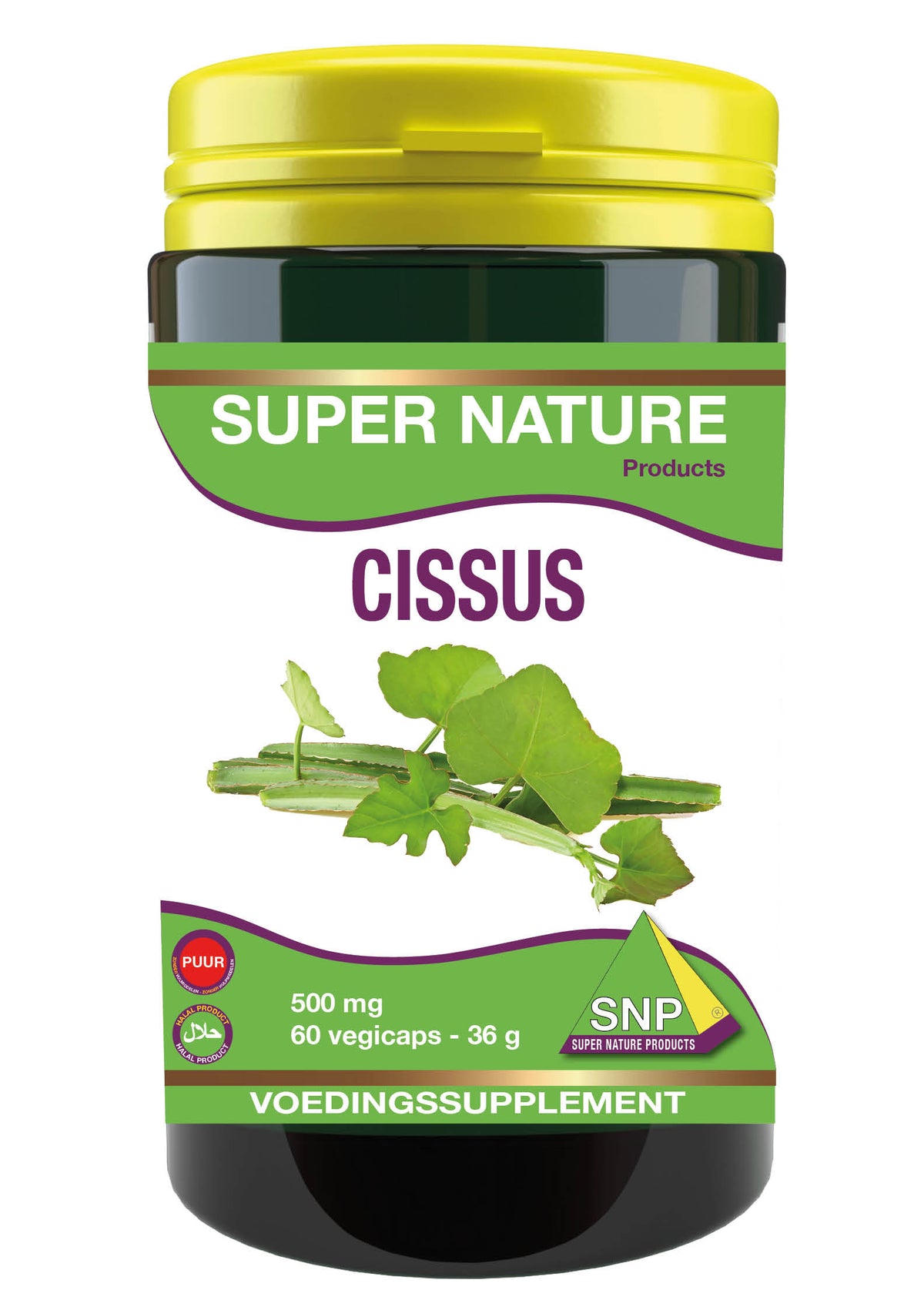 SNP Cissus 500mg puur 60.00 Capsules