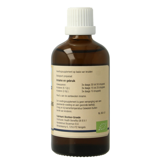GO Betula pubescens bio 100.00 Milliliter