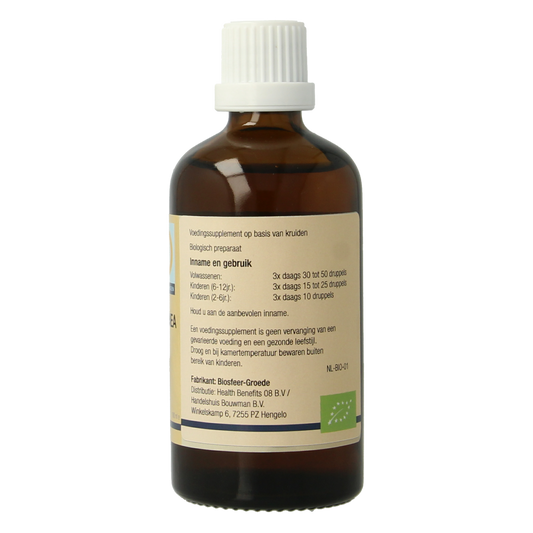 GO Castanea vesca bio 100.00 Milliliter