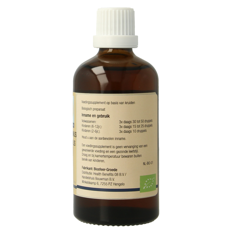 GO Rosmarinus officinalis bio 100 Milliliter