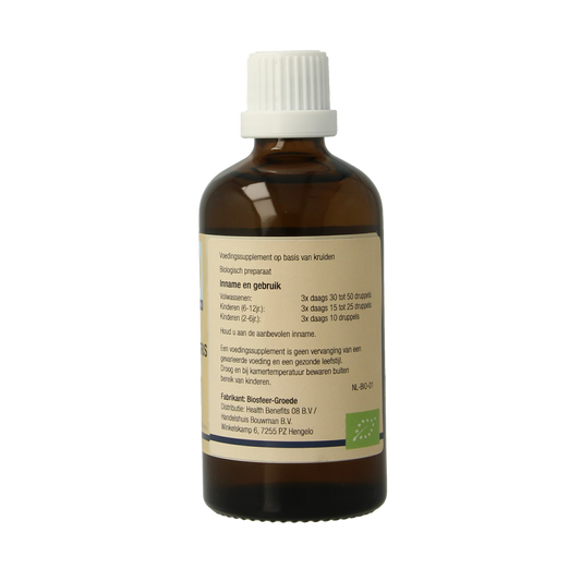 GO Ulmus campestris bio 100.00 Milliliter
