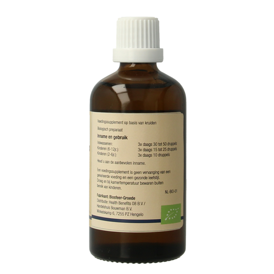 GO Viscum album bio 100.00 Milliliter