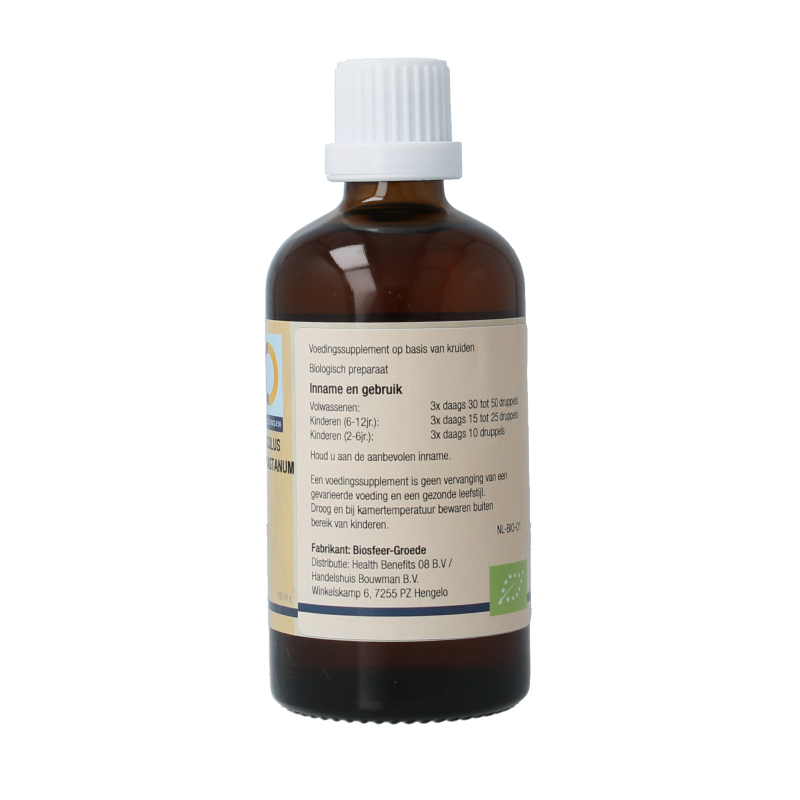 GO Aesculus hippocastanum bio 100 Milliliter