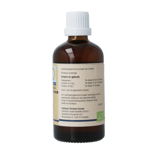 GO Aesculus hippocastanum bio 100.00 Milliliter