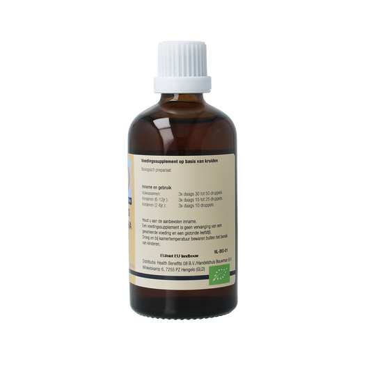 GO Corylus avellana bio 100.00 Milliliter