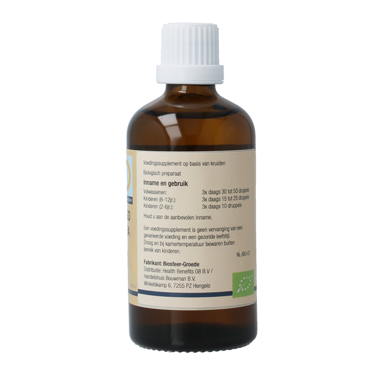 GO Ginkgo biloba bio 100 Milliliter