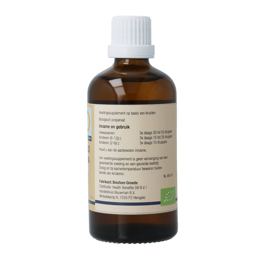GO Ginkgo biloba bio 100.00 Milliliter