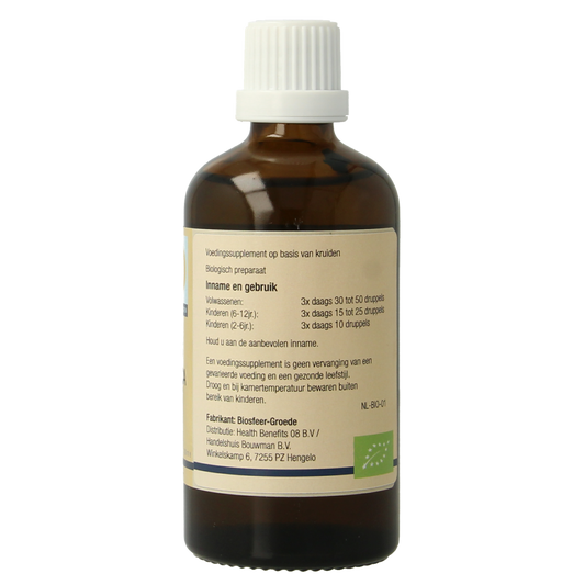 GO Ficus carica bio 100.00 Milliliter
