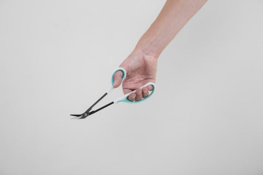 Able 2 Teennagelschaar op lange steel 1 Stuks