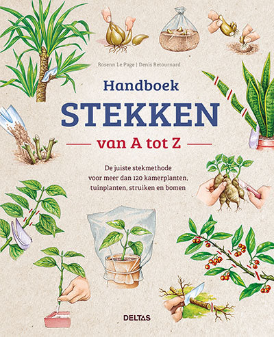 Deltas Handboek stekken van A tot Z 1 Boek